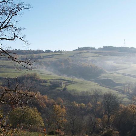 Gites Le Chene & Le Tilleul Saint-Romain-de-Lerps Esterno foto