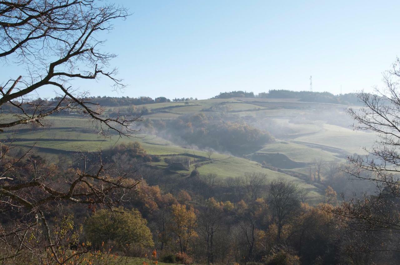 Gites Le Chene & Le Tilleul Saint-Romain-de-Lerps Esterno foto