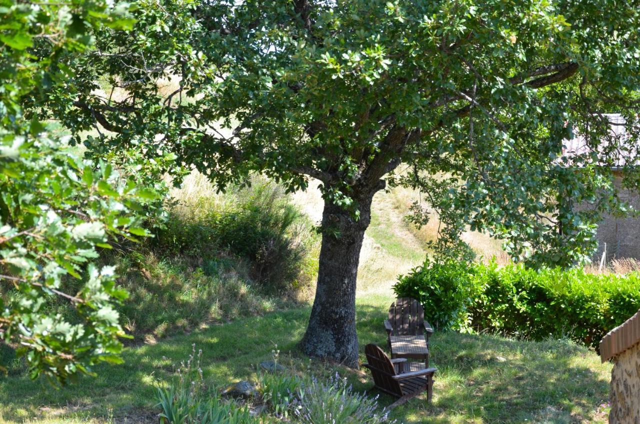 Gites Le Chene & Le Tilleul Saint-Romain-de-Lerps Camera foto